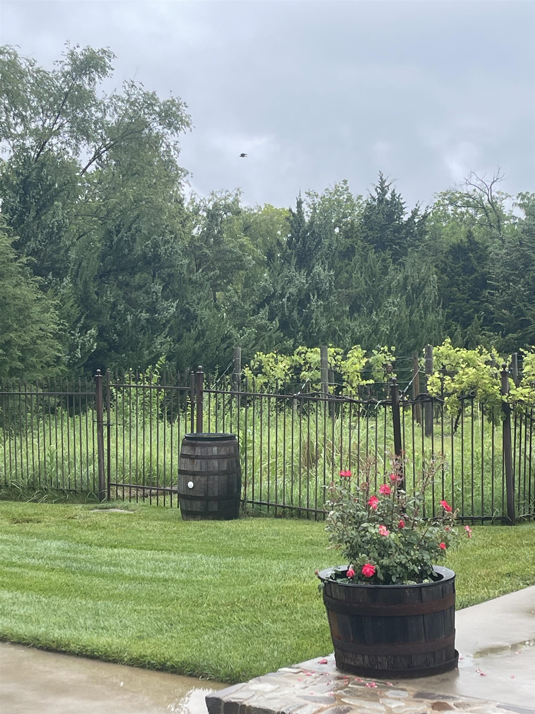 main property photo 31