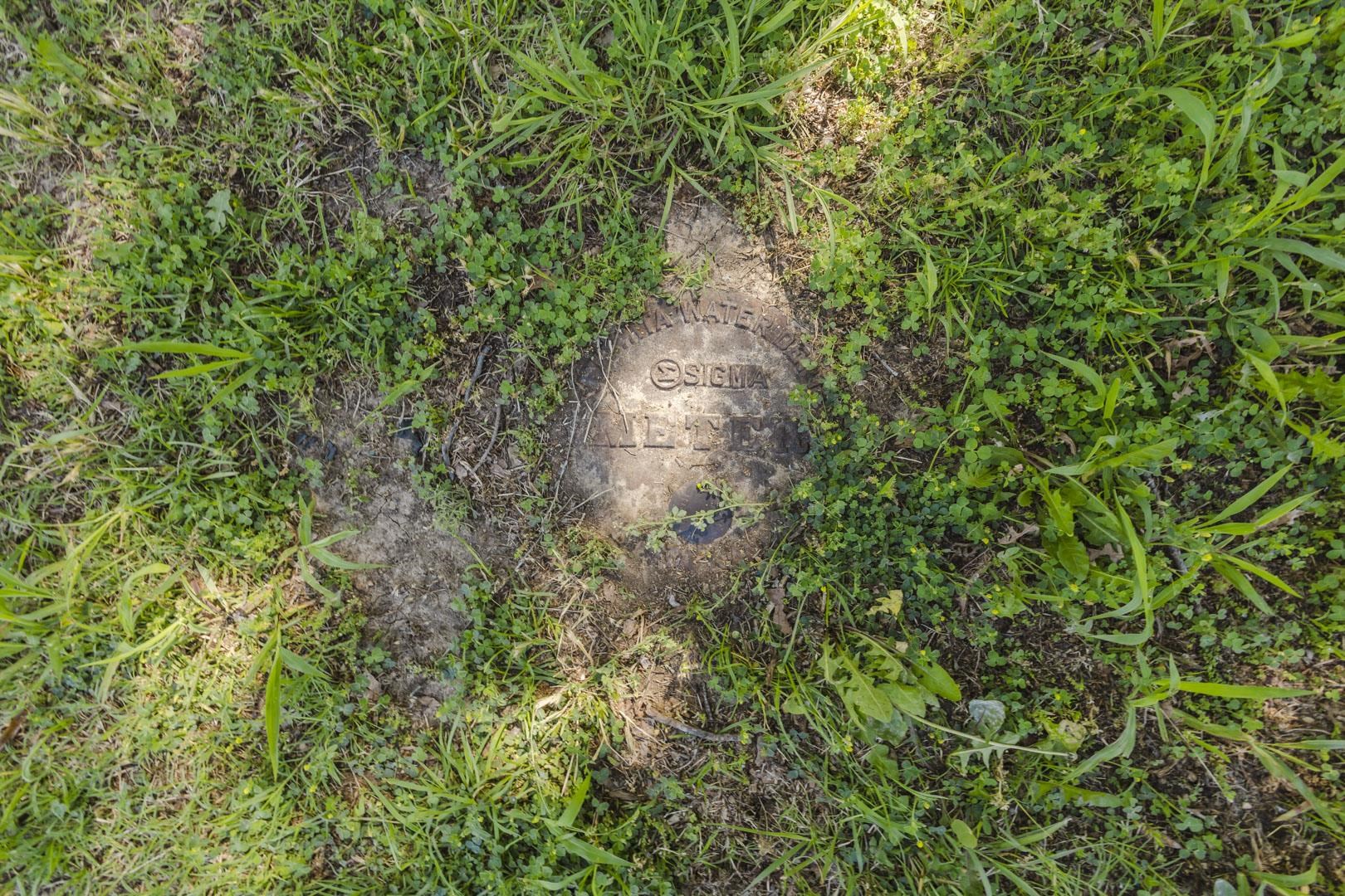 main property photo 32