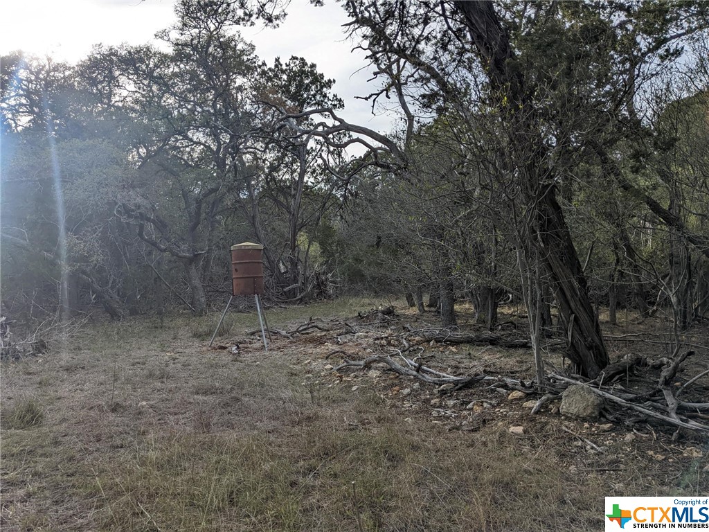 main property photo 17