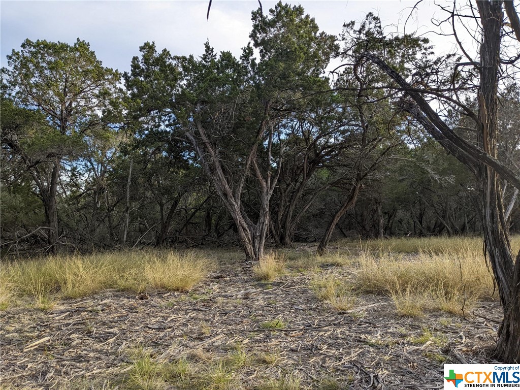 main property photo 20