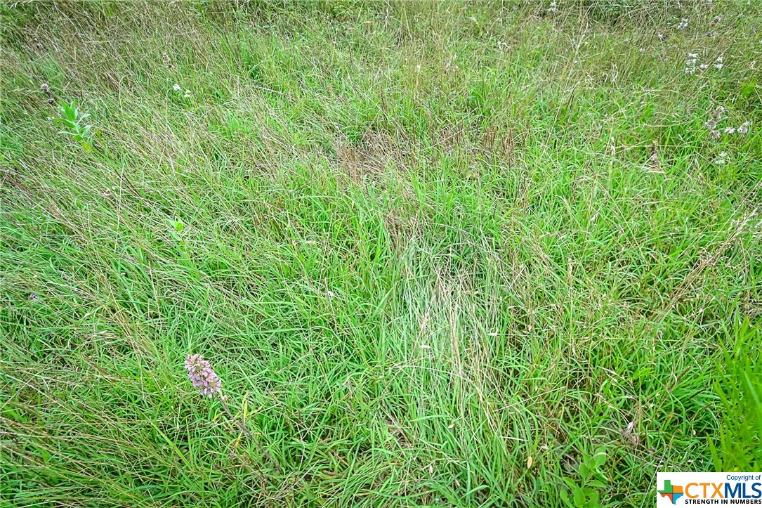 main property photo 10