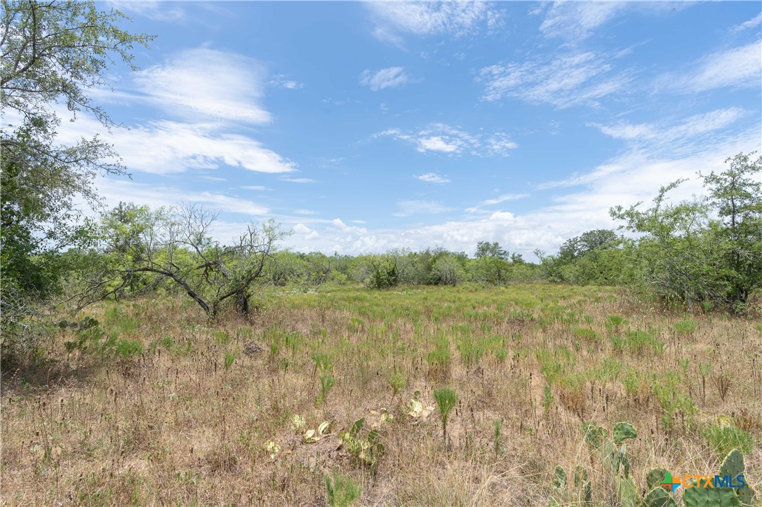main property photo 35