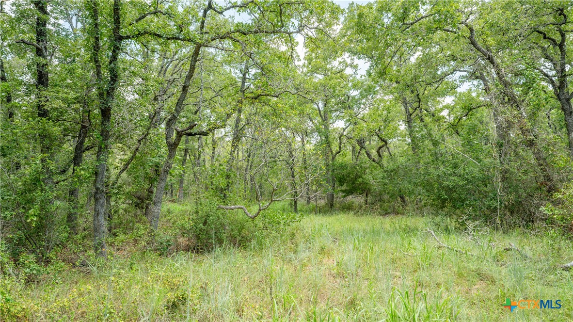 main property photo 18