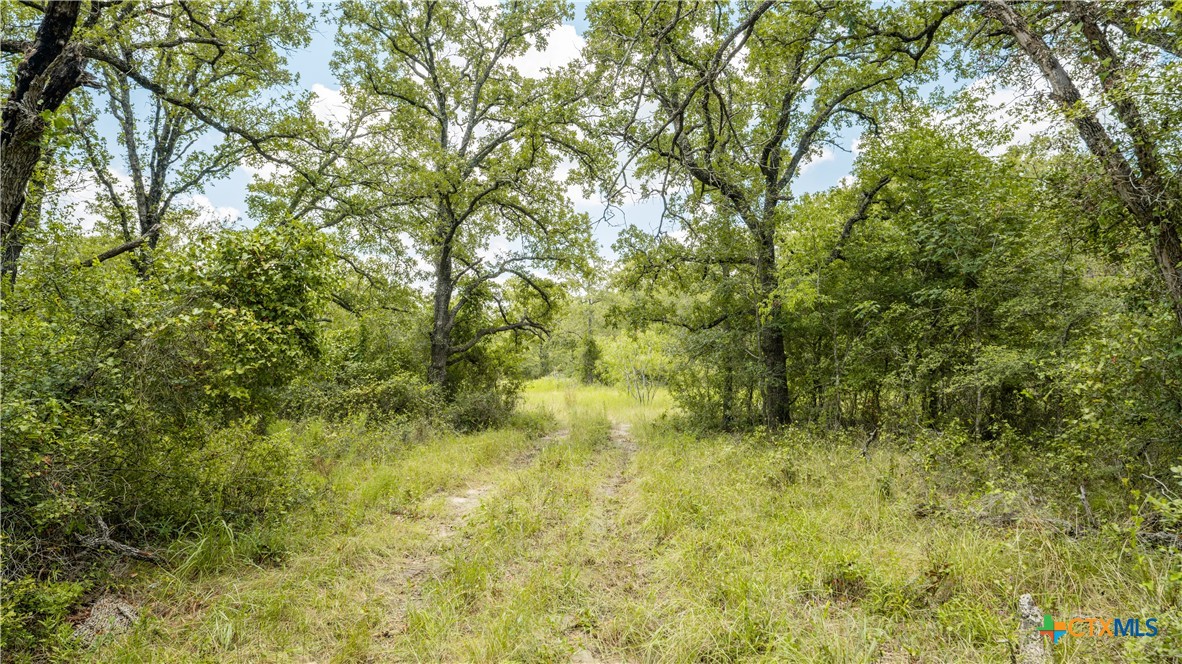 main property photo 21