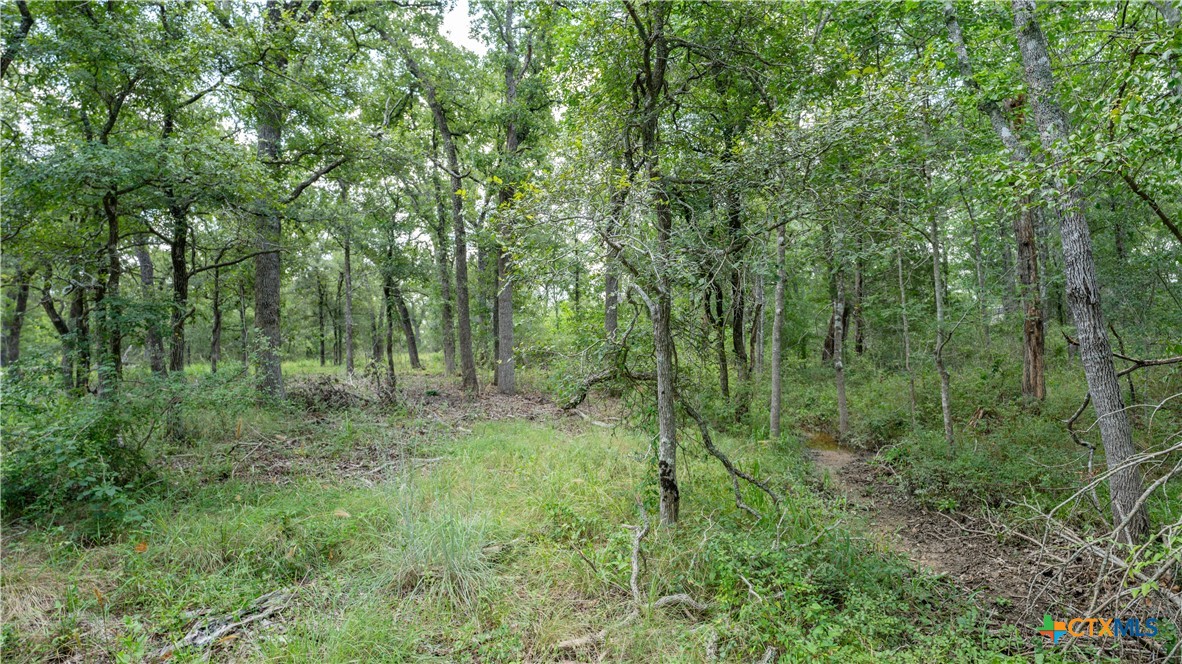 main property photo 11