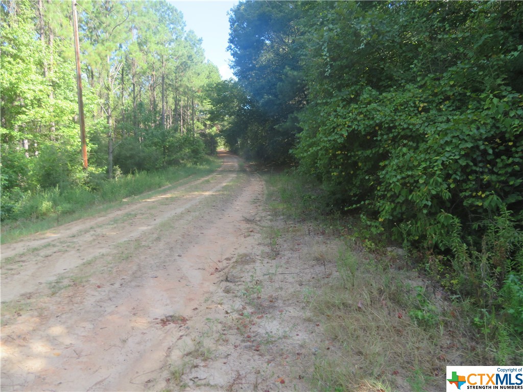 main property photo 7