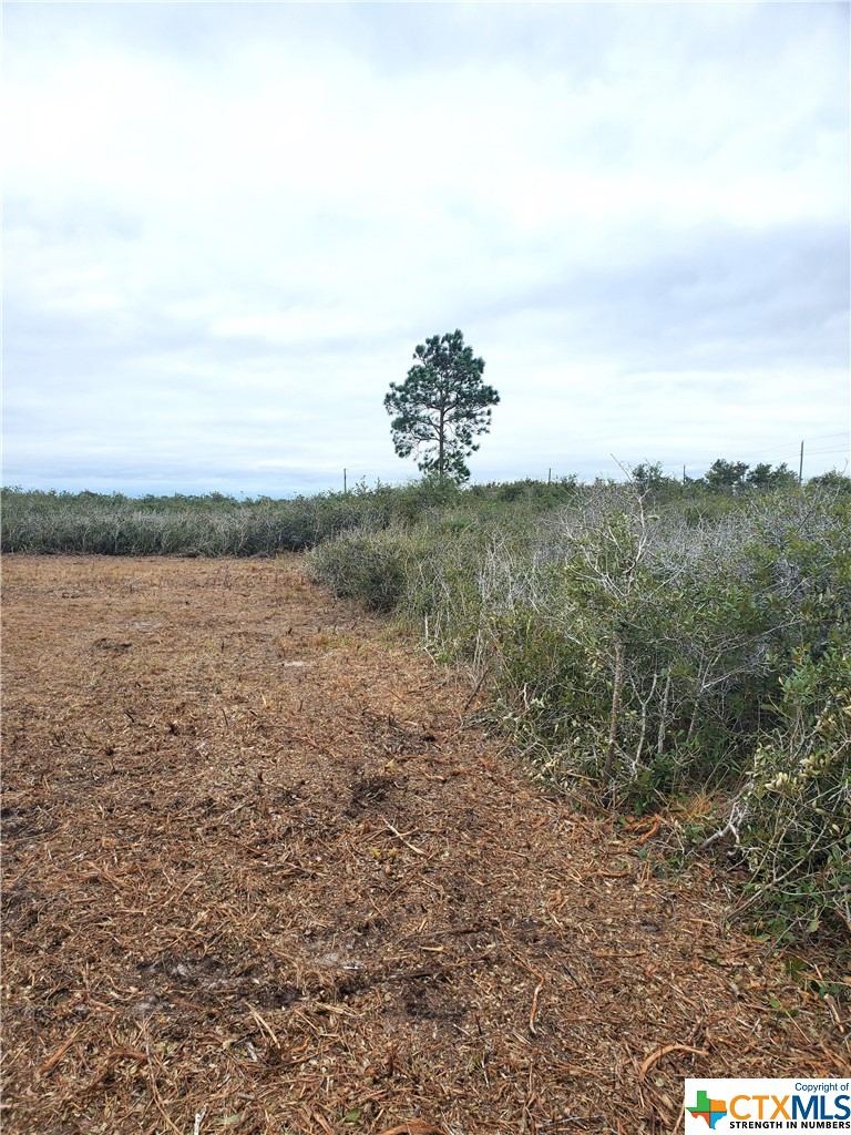 main property photo 7