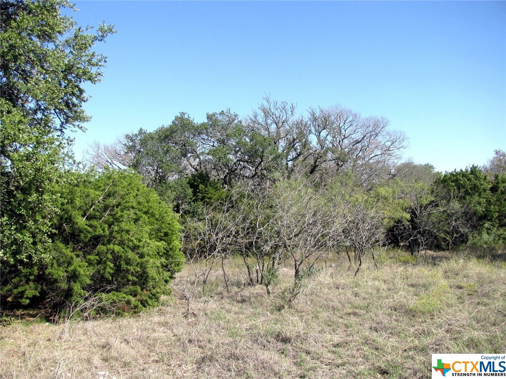 main property photo 11