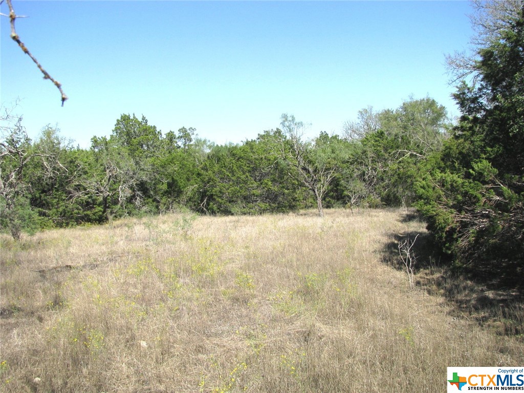 main property photo 12