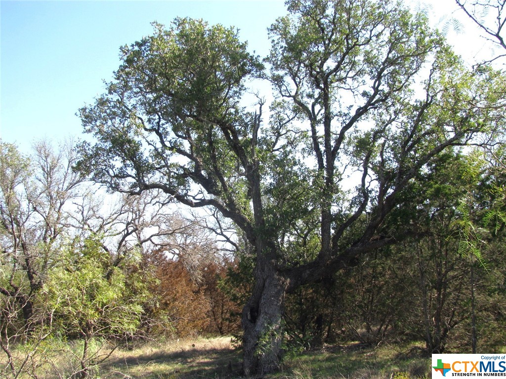 main property photo 34