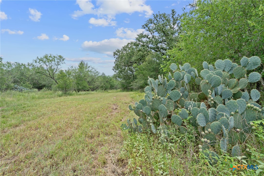 main property photo 26
