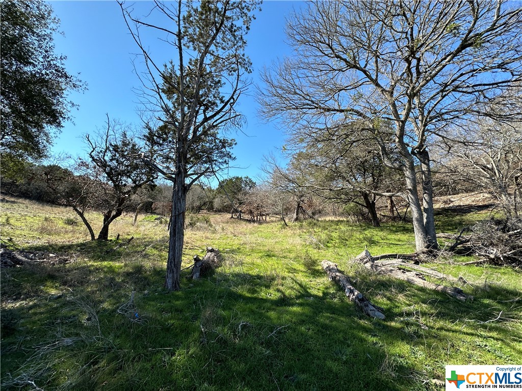 main property photo 10