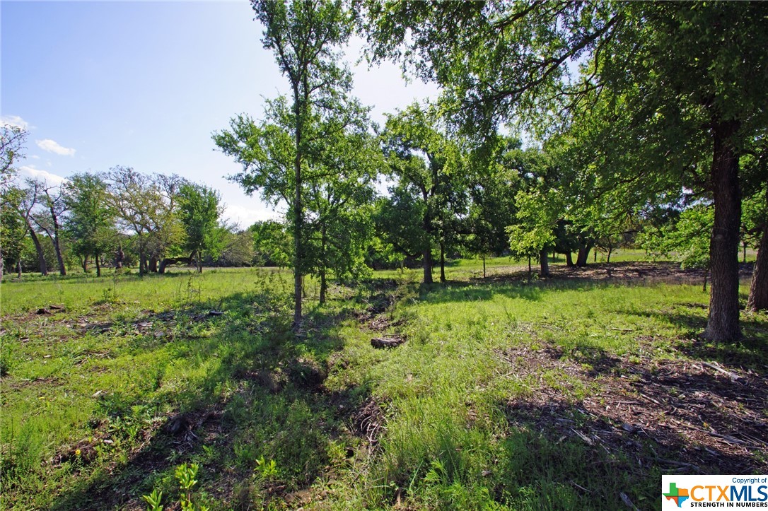 main property photo 10