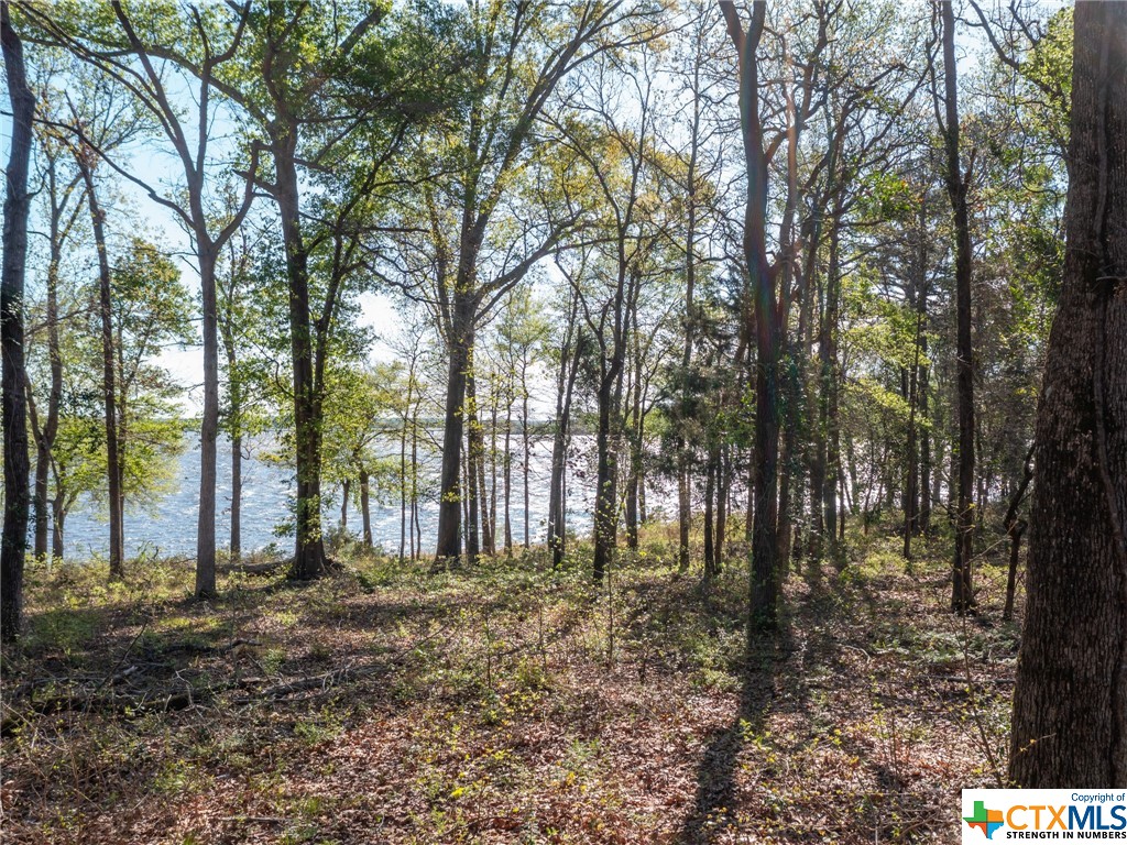 main property photo 10