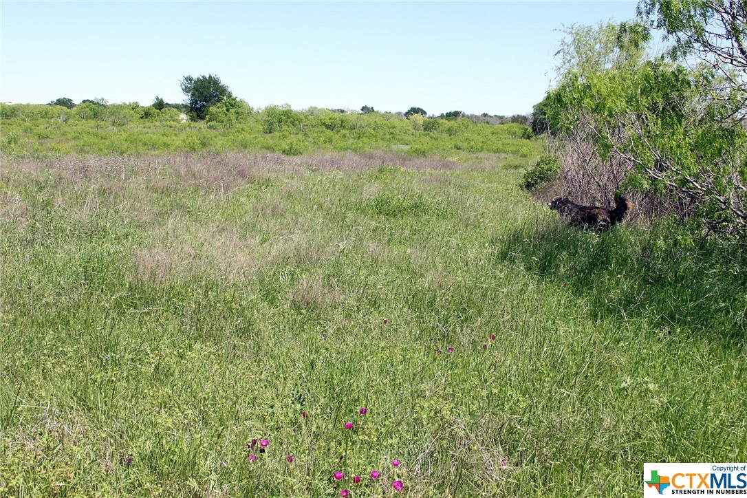 main property photo 27