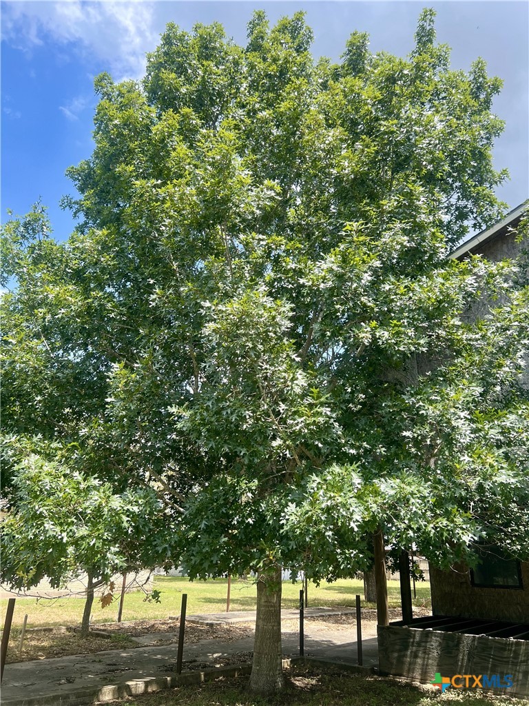 main property photo 42
