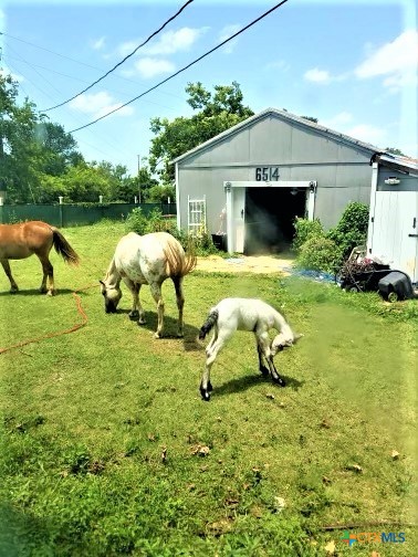 main property photo 23