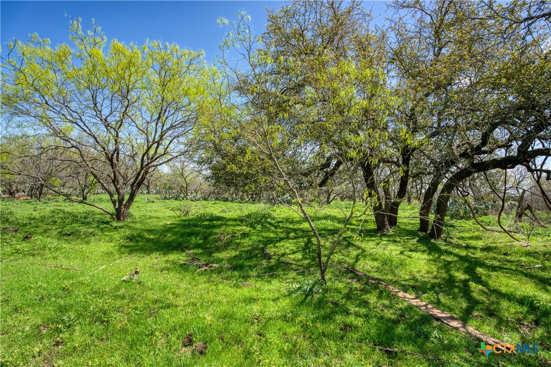 main property photo 19