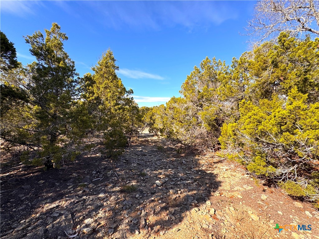 main property photo 9