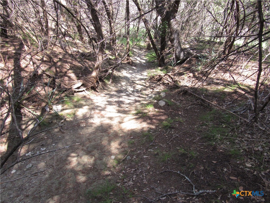 main property photo 14