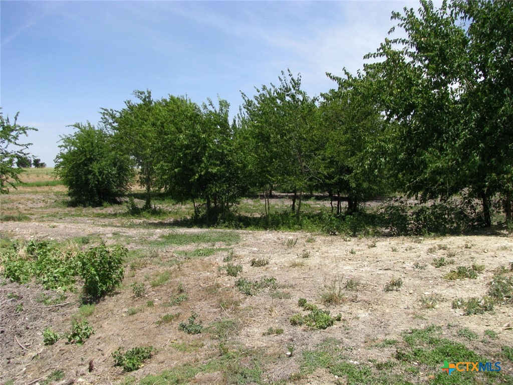main property photo 8