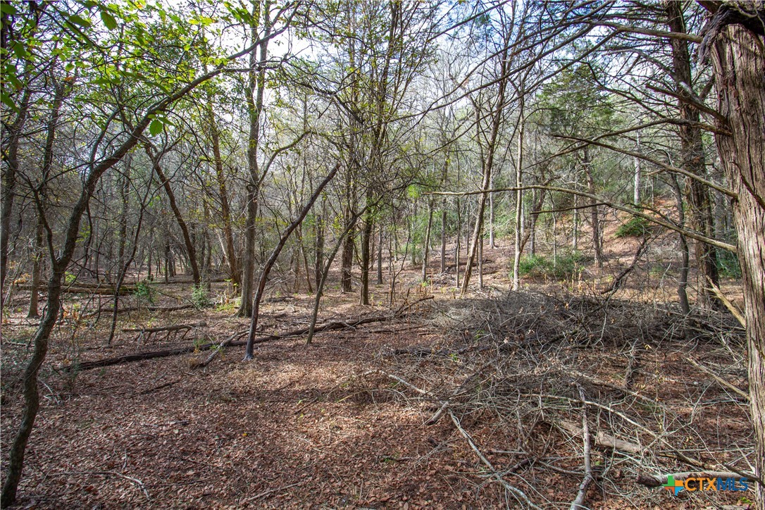 main property photo 10