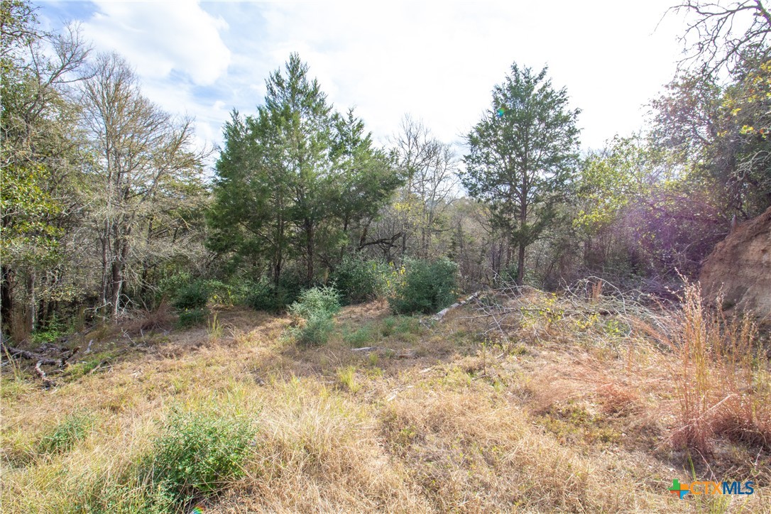 main property photo 11