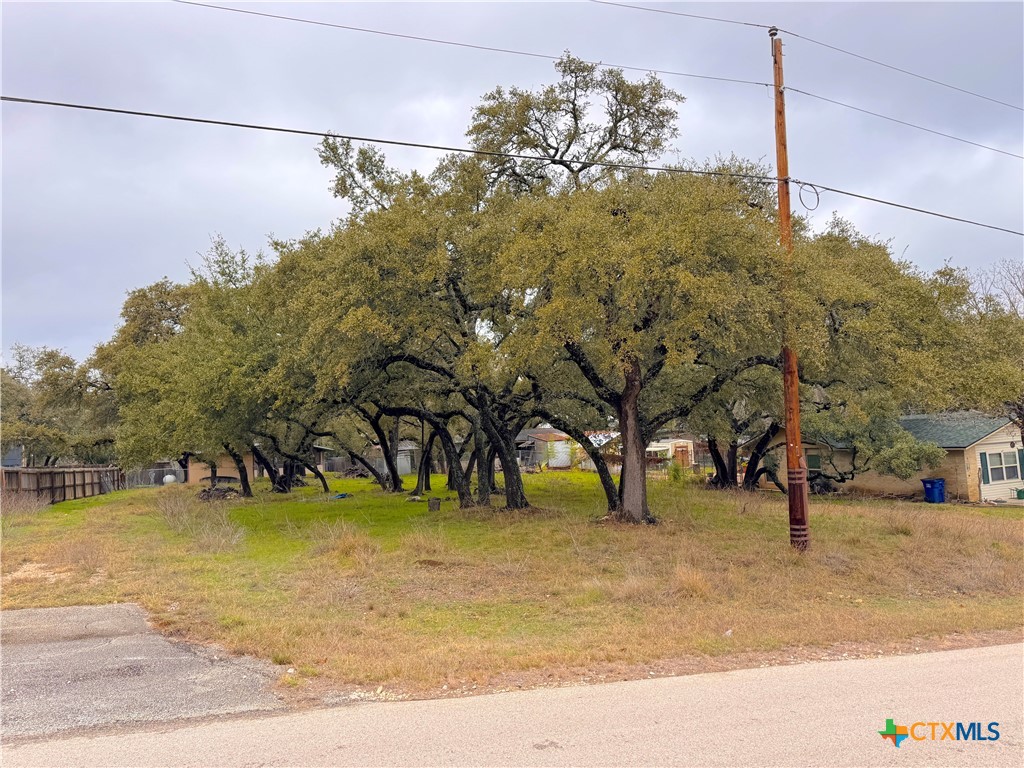 main property photo 9