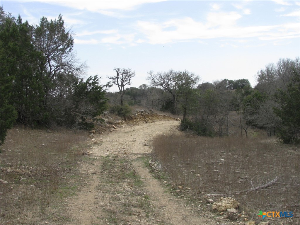 main property photo 14