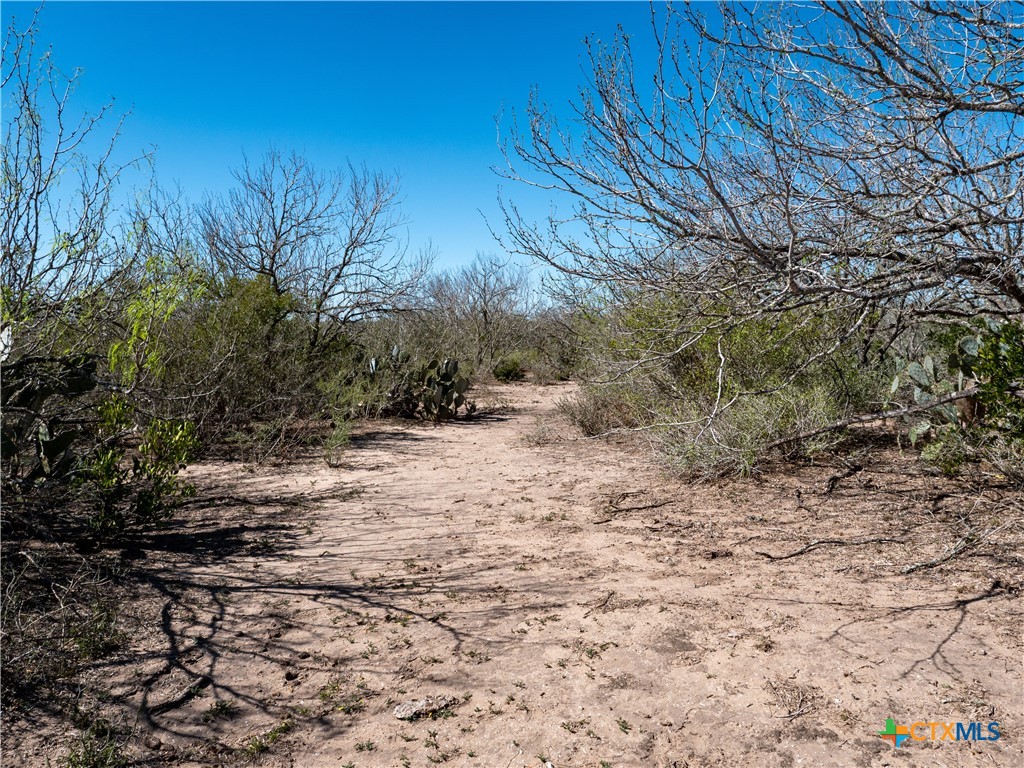 main property photo 13