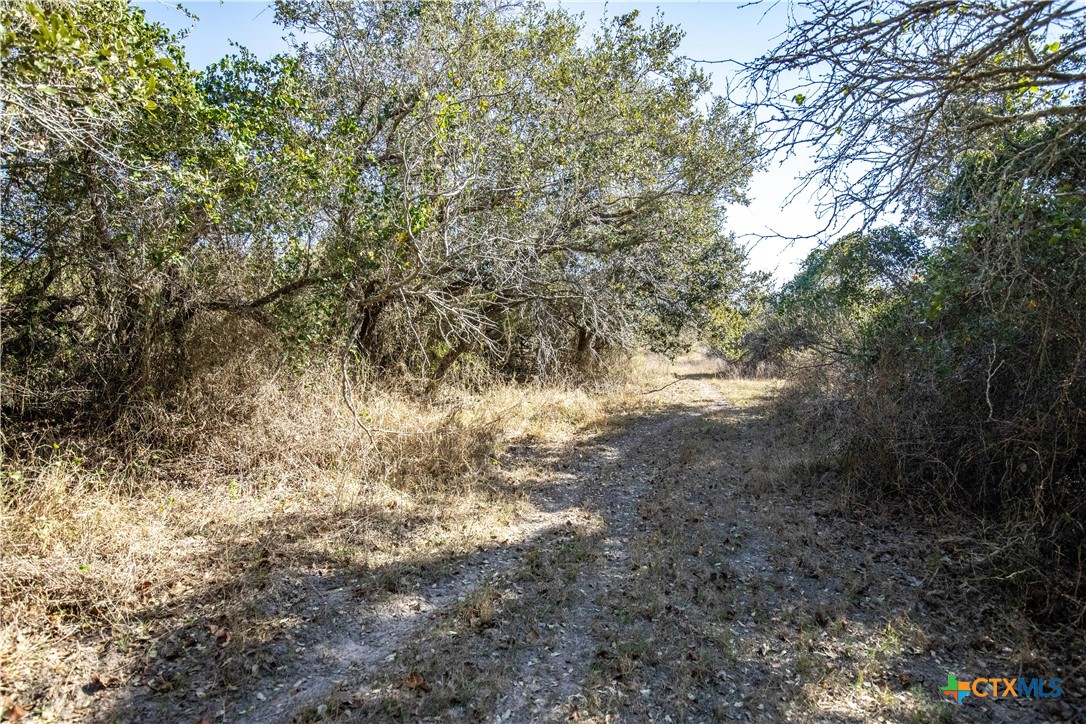 main property photo 32