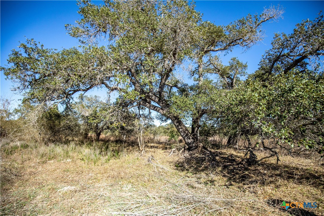 main property photo 37