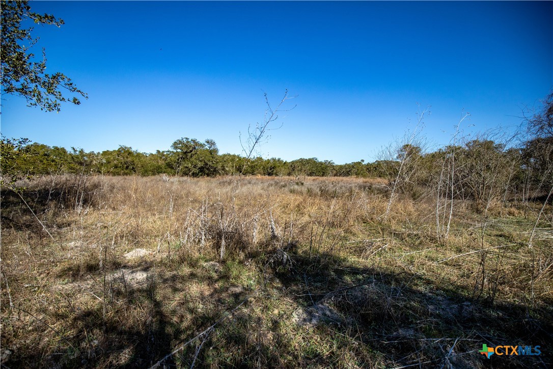 main property photo 39