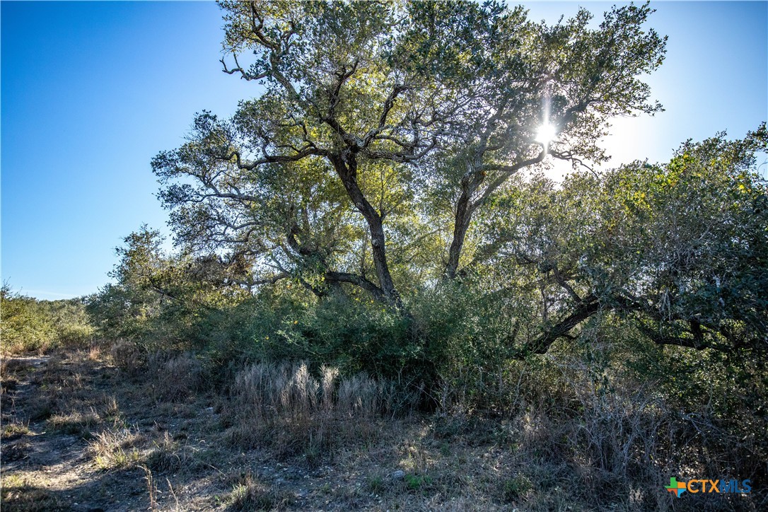 main property photo 43