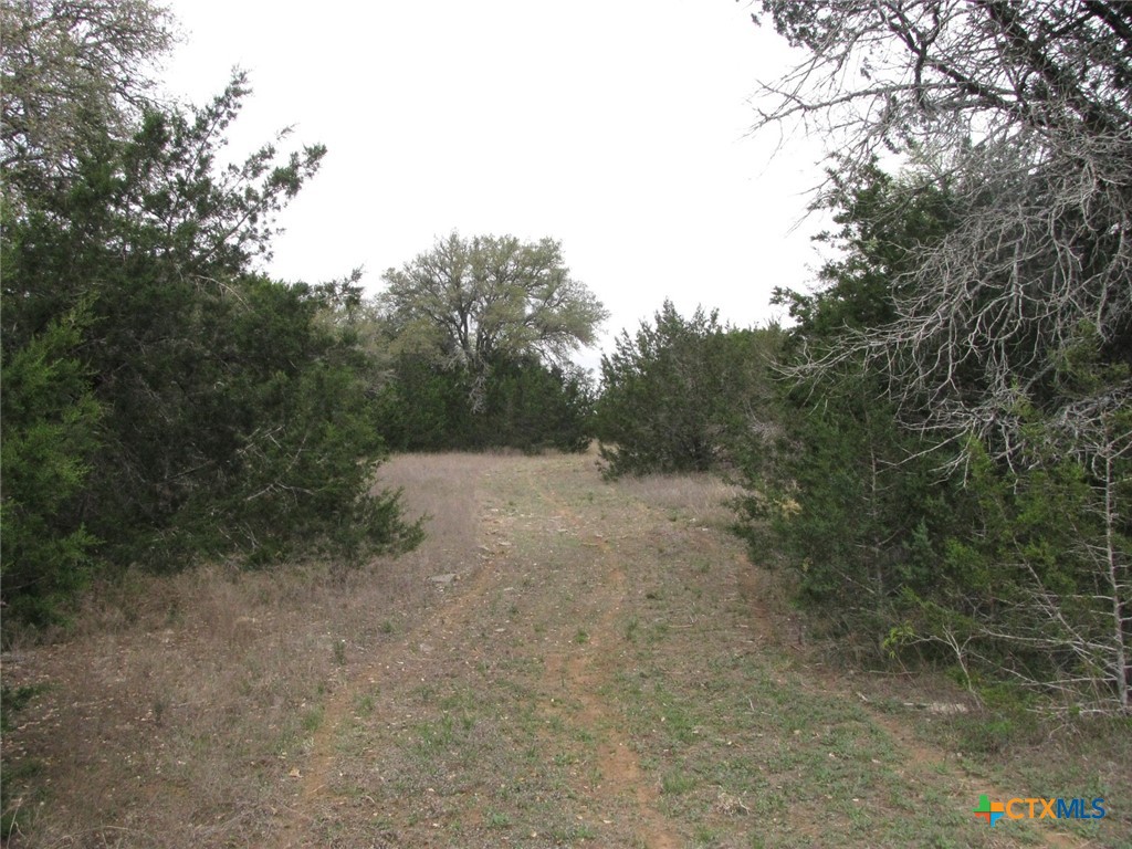 main property photo 31