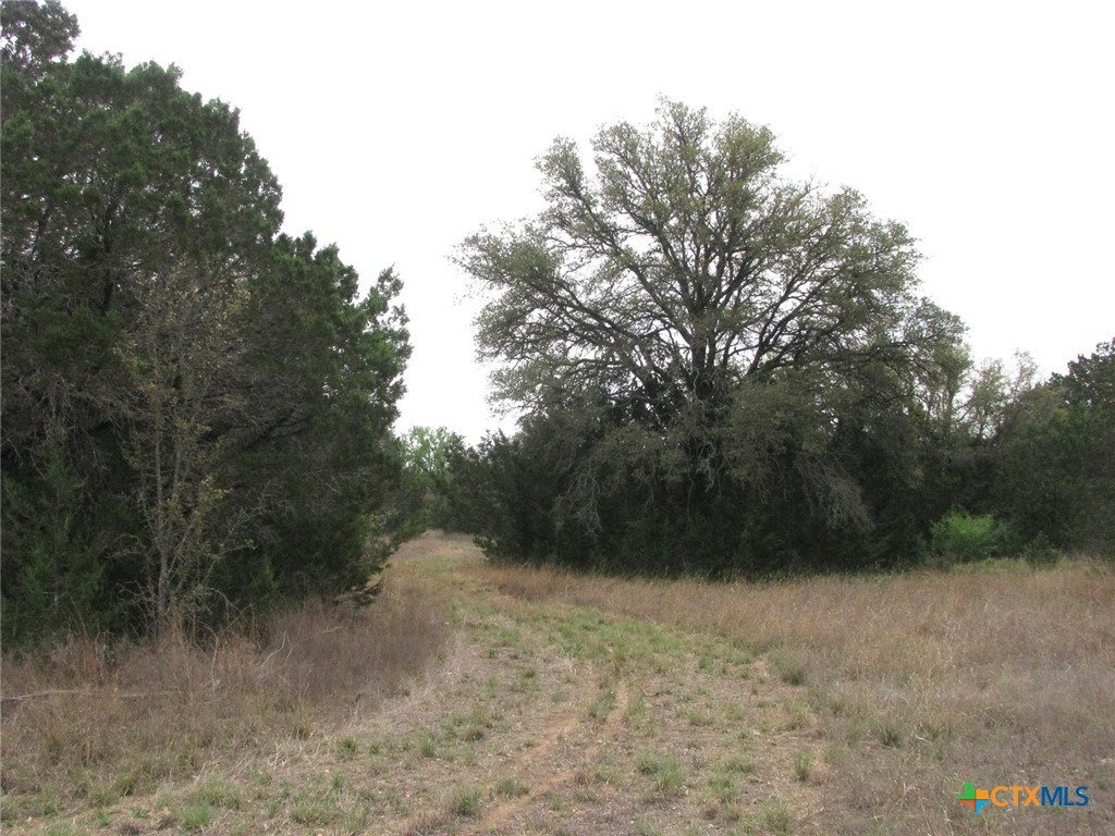 main property photo 36
