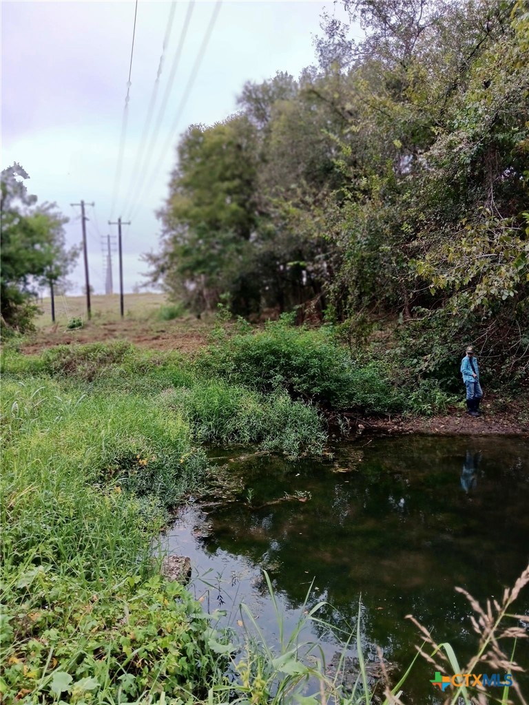 main property photo 6