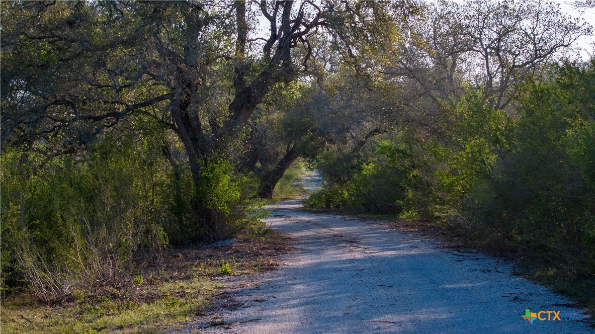 main property photo 45