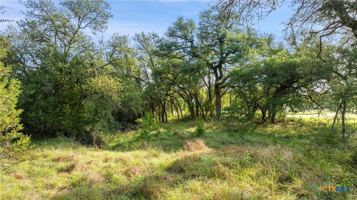 main property photo 18