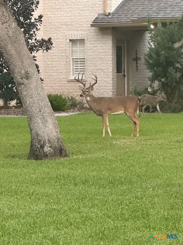 main property photo 37