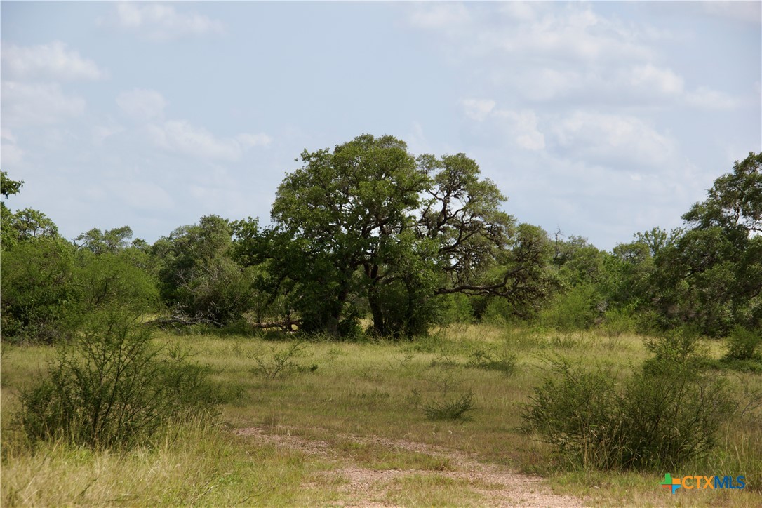main property photo 37