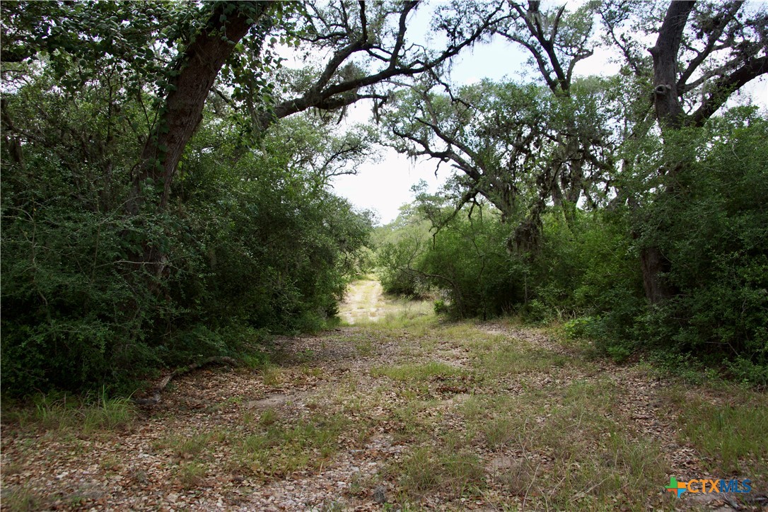 main property photo 10