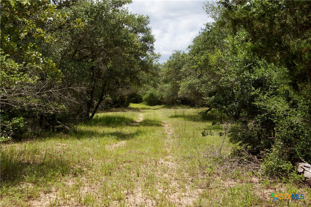 main property photo 19