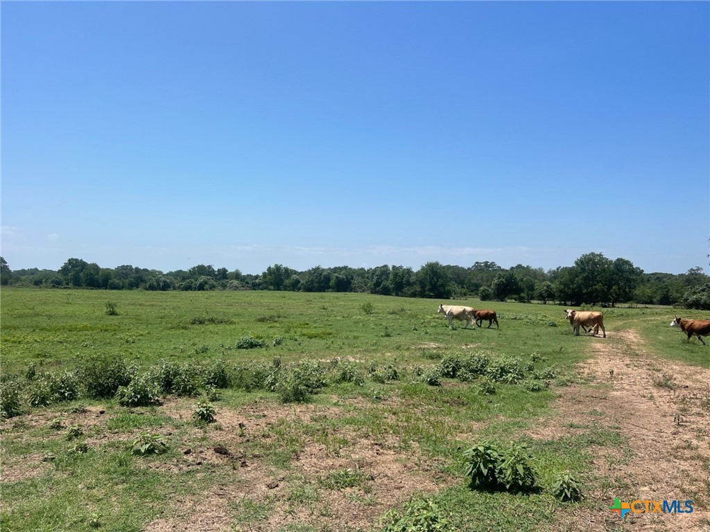 main property photo 6