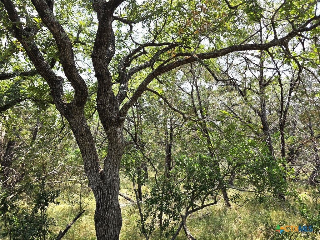 main property photo 11