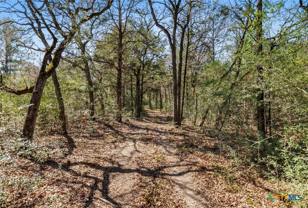 main property photo 25