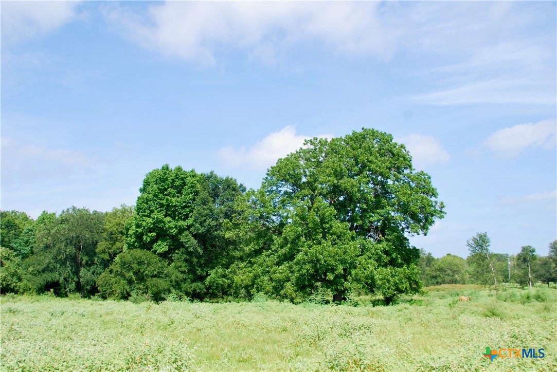 main property photo 39