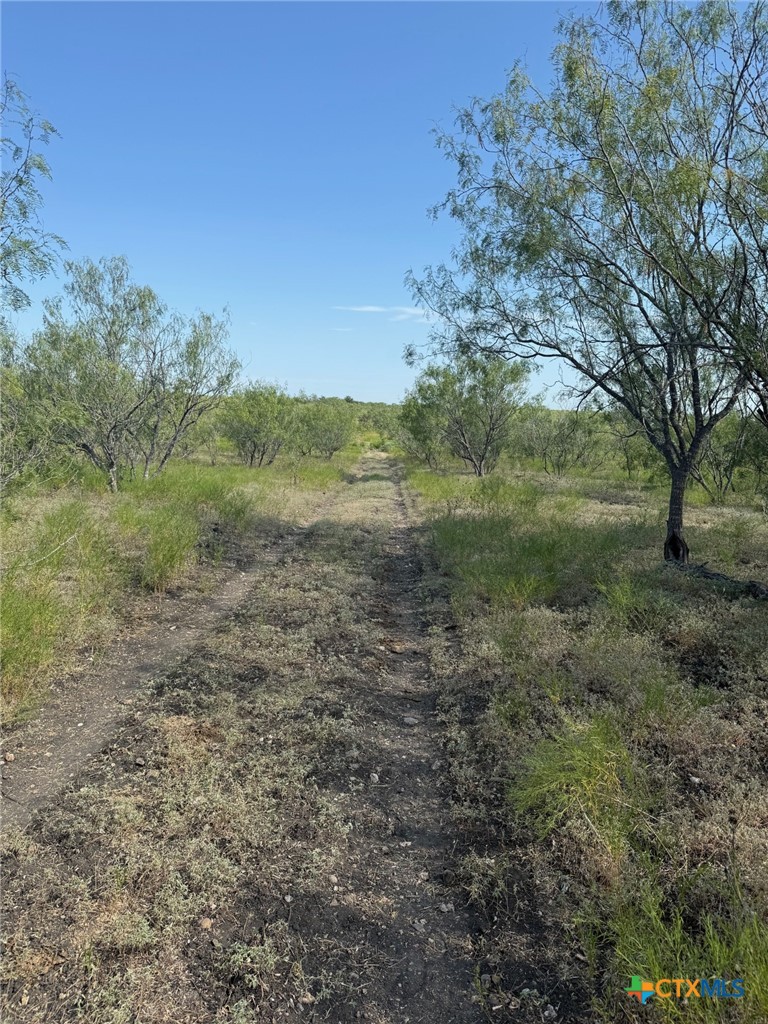 main property photo 10