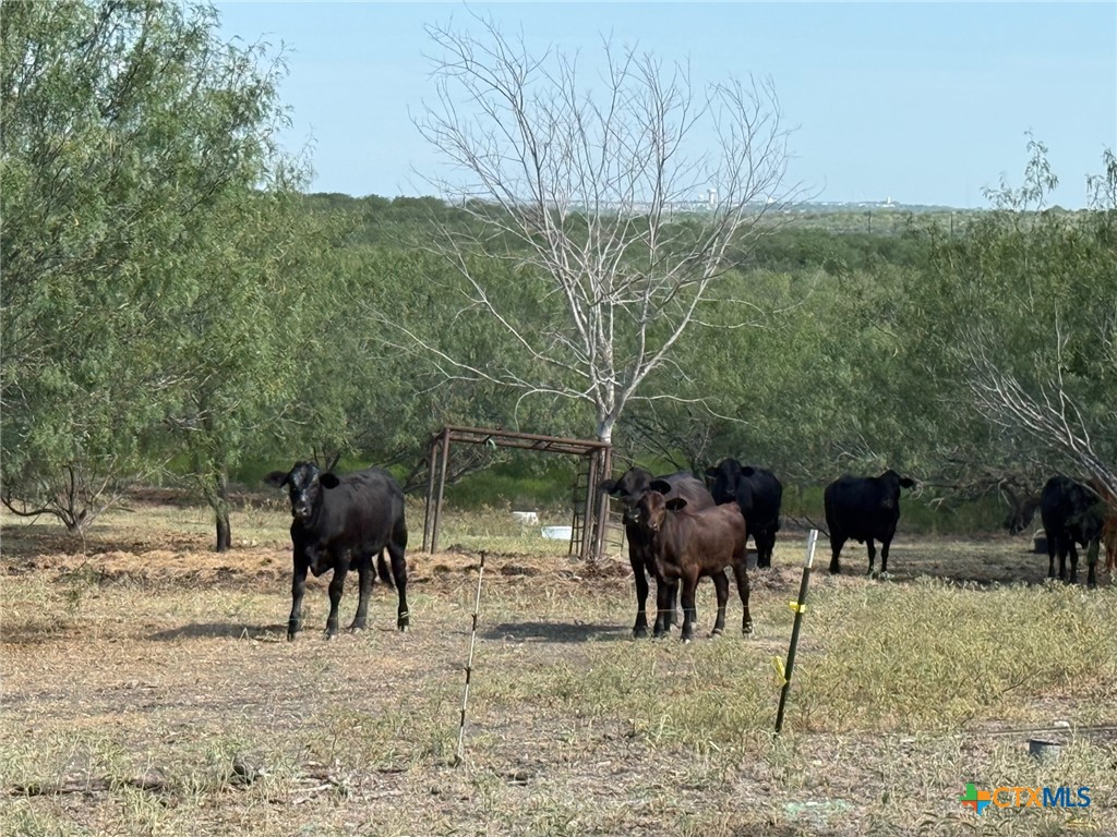 main property photo 12