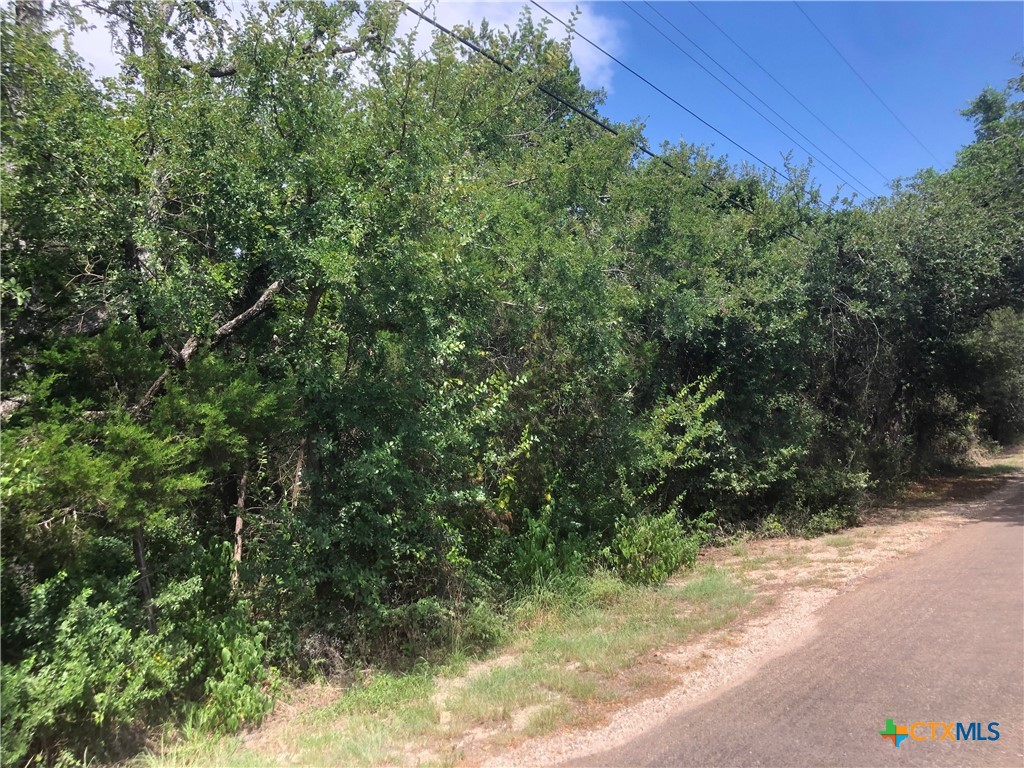 main property photo 10